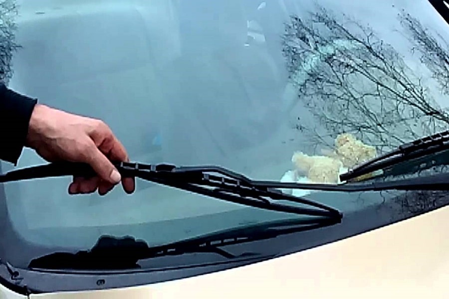 windshield replacements calgary