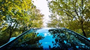 Top Windshield Tips for the Spring